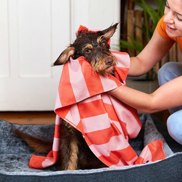 Doggy Towel - Canine Coral