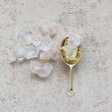 Gold Ice Scoop