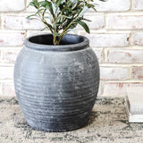 New Olivia Vintage Planter