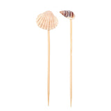 Shell Picks