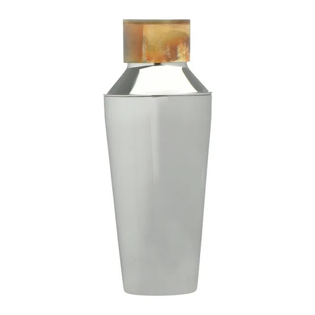 Stainless Steel Cocktail Shaker + Horn Top