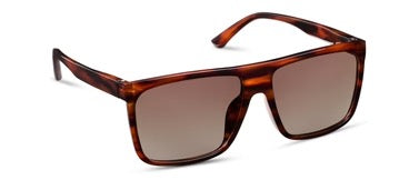 Jersey Polarized Sun - Tortoise Horn +0.00