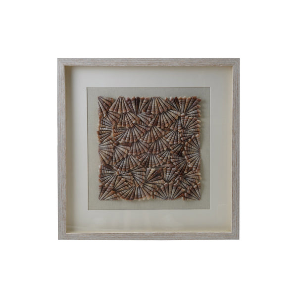 Shell Shadowbox Wall Art