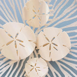 Teleties Sand Dollar Hair Clip - Medium