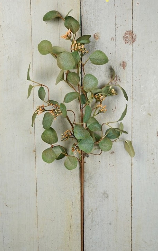 Eucalyptus Seeded Stem