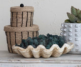 Clamshell Decor